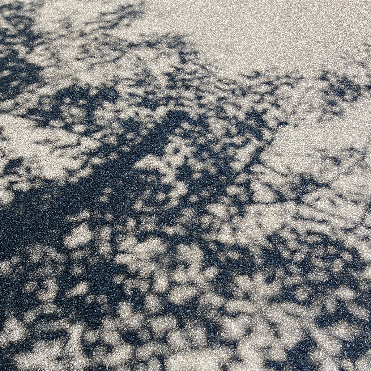 ベンチ