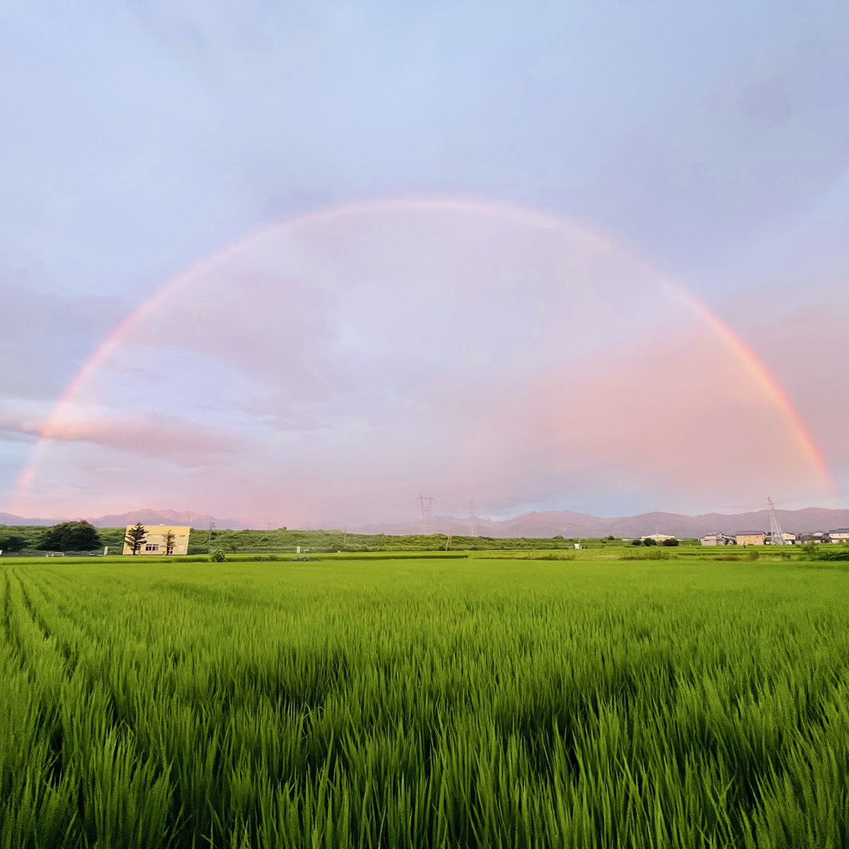 雨が降れば