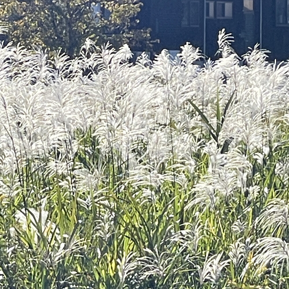 楽しいものにお金を使う